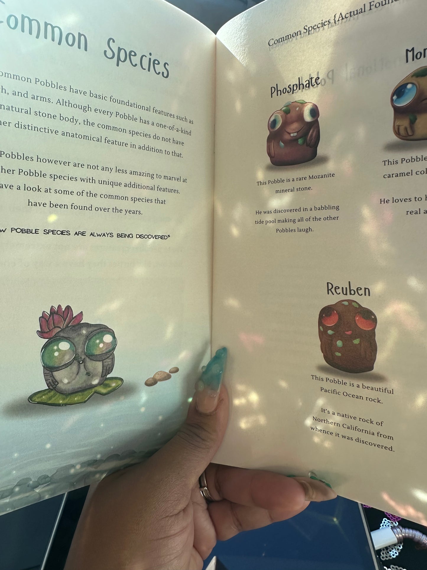 Wild Pobble Finder’s Guide
