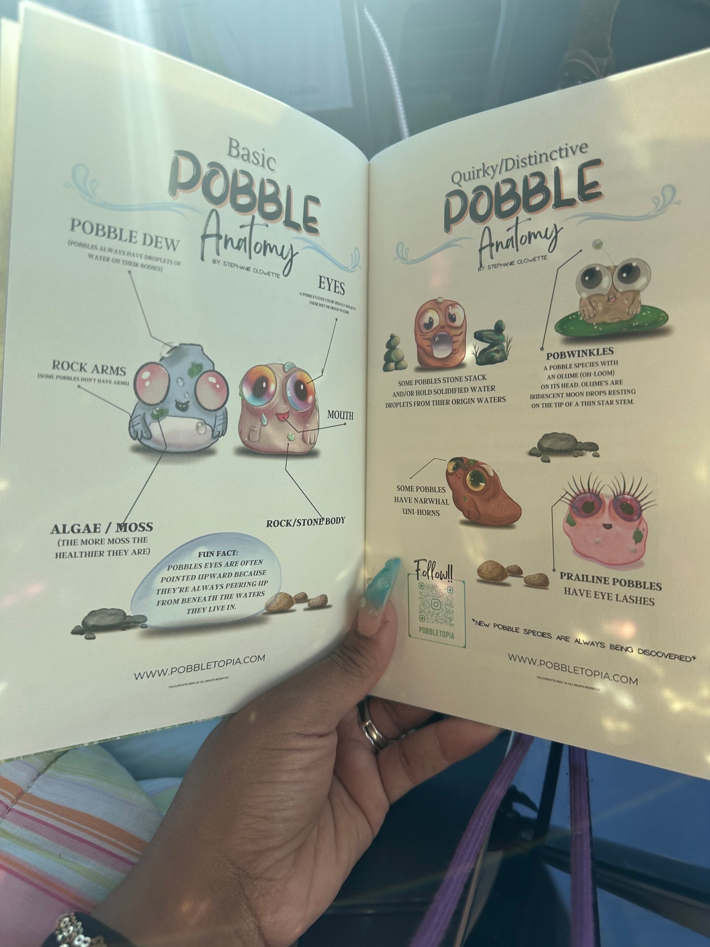Wild Pobble Finder’s Guide