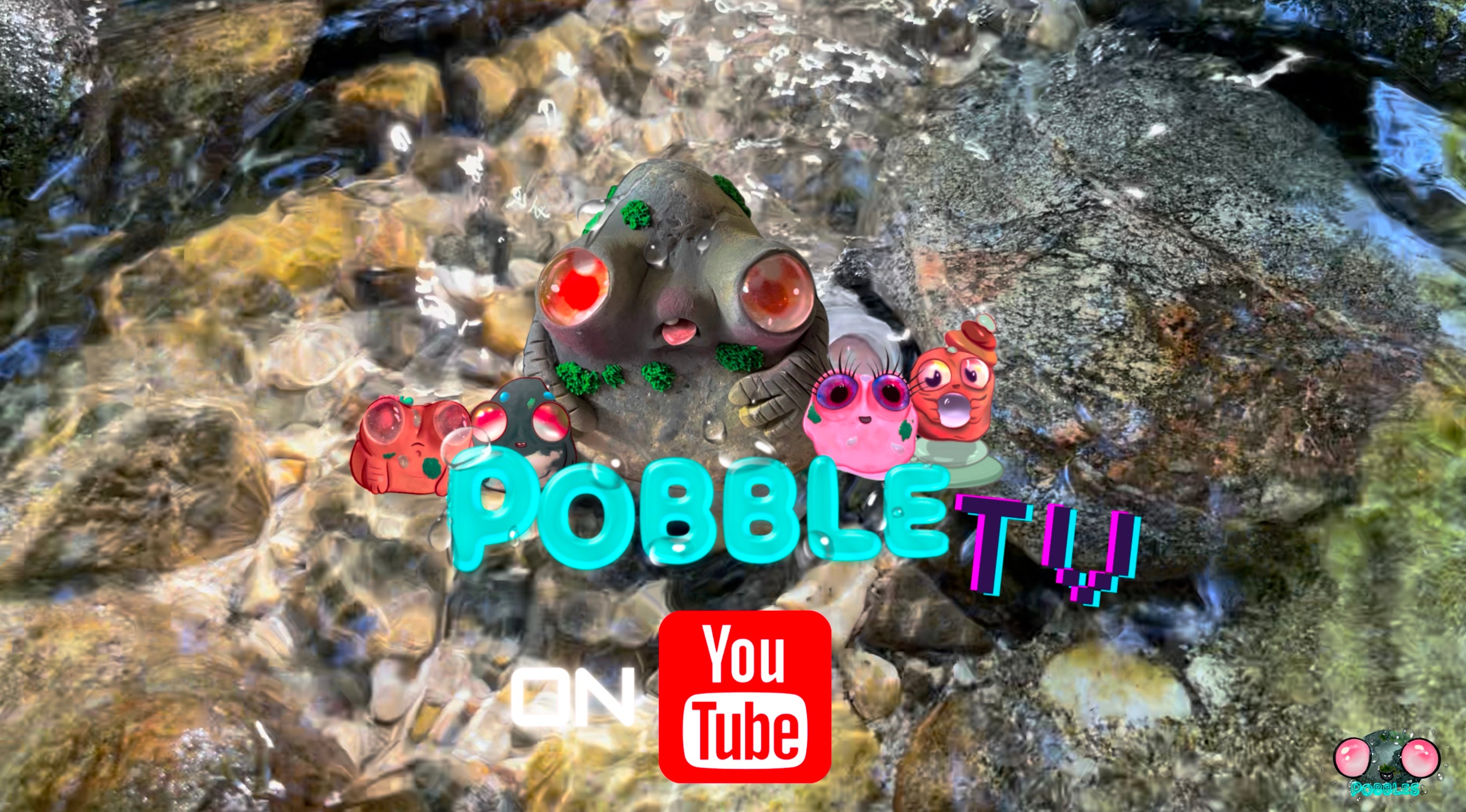 Load video: Every Pobble has an origin.