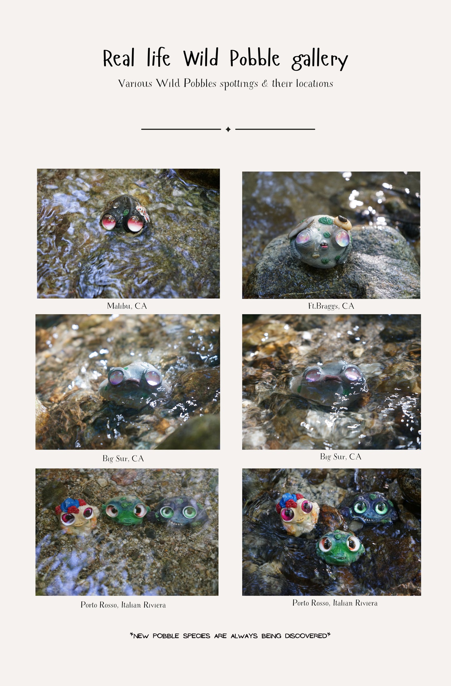 Wild Pobble Finder’s Guide | 2nd Edition