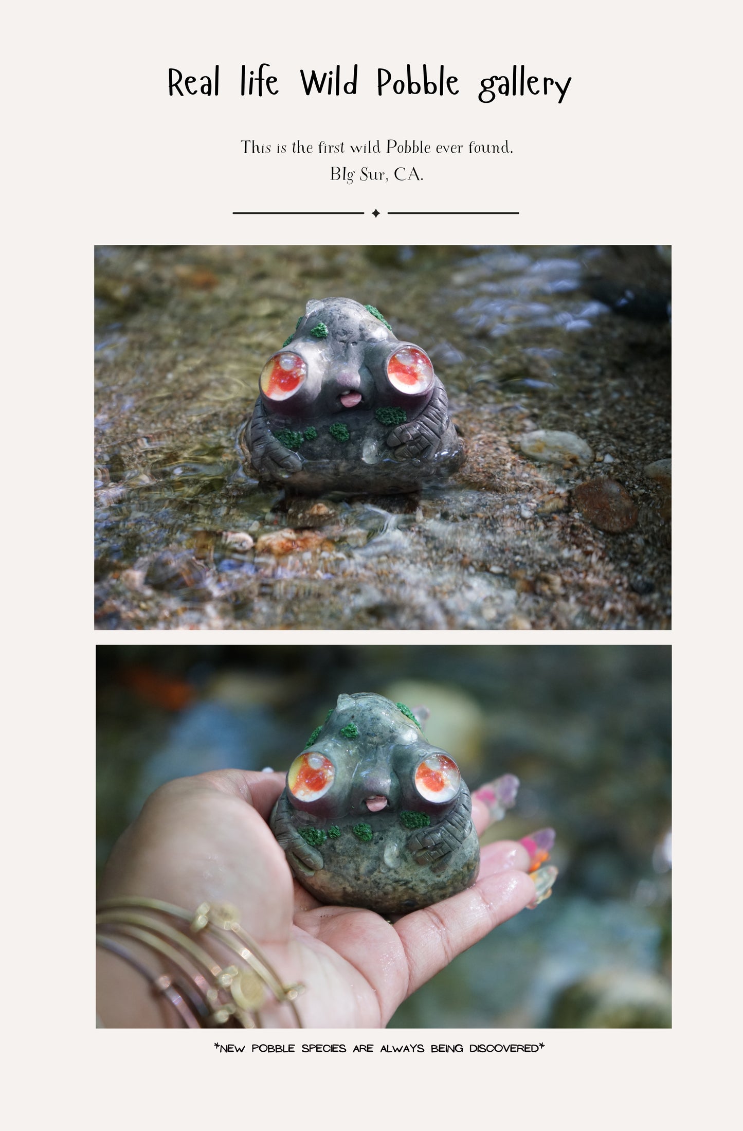 Wild Pobble Finder’s Guide | 2nd Edition